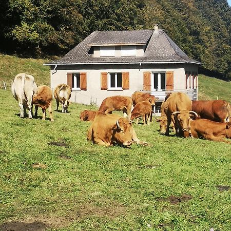 Tourmalet Βίλα Campan Εξωτερικό φωτογραφία
